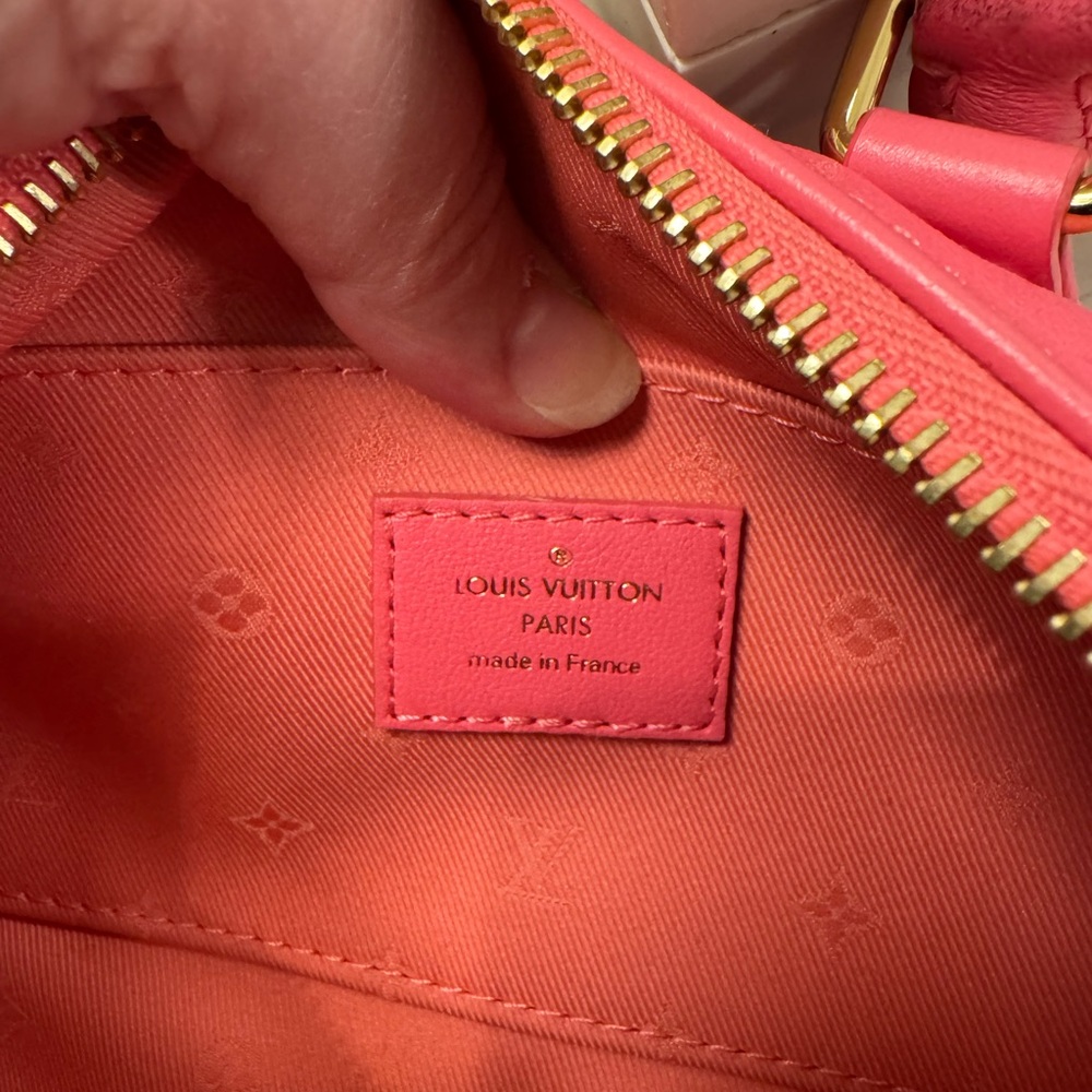 Louis Vuitton Bubblegram Papillon BB in Dragon Fruit - Picture 12 of 16